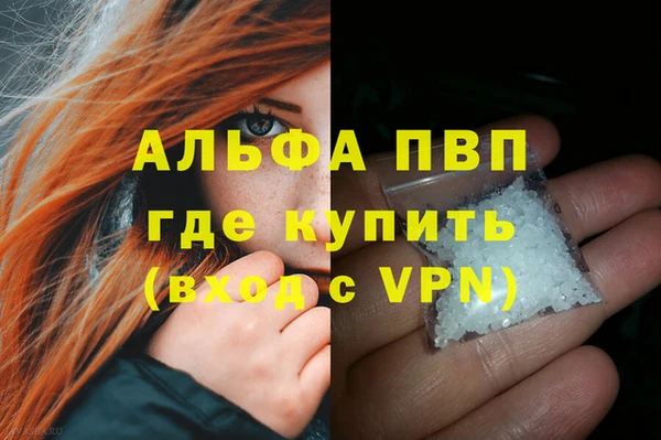 стафф Вязьма