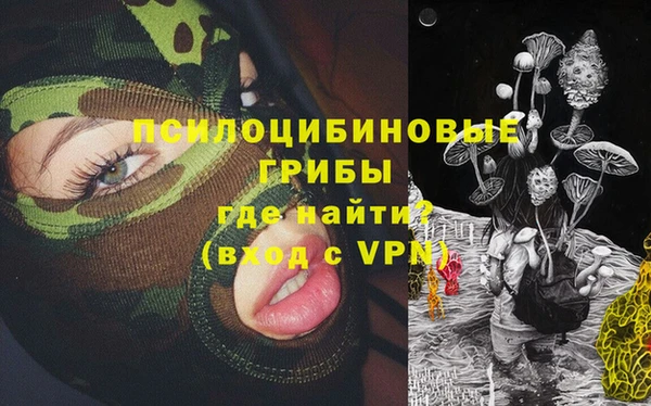 дживик Вязники