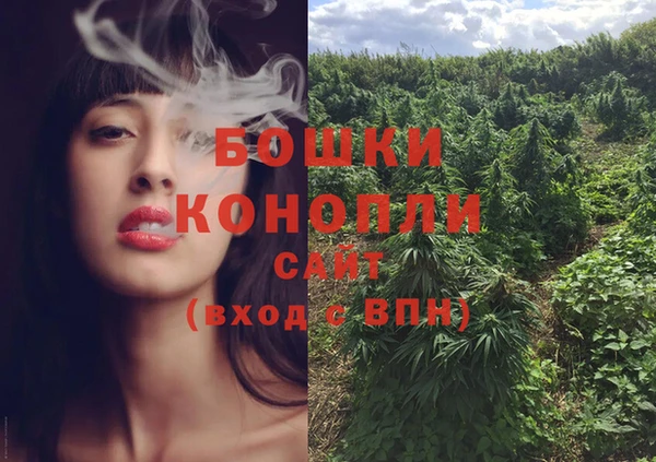 стафф Вязьма