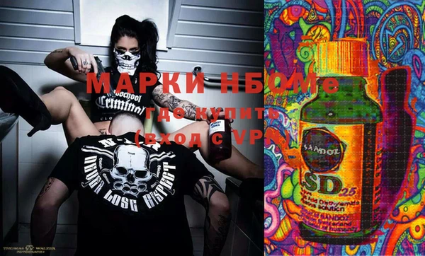 стафф Вязьма