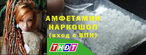 стафф Вязьма