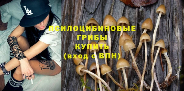 стафф Вязьма