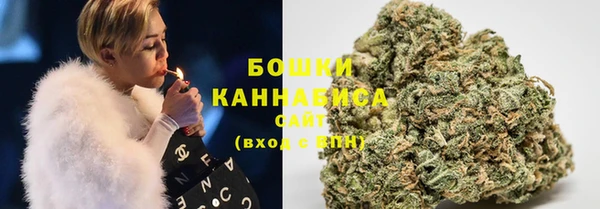 стафф Вязьма