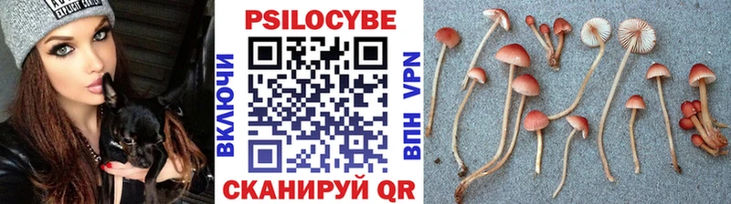 Галлюциногенные грибы MAGIC MUSHROOMS  где купить наркоту  Дивногорск 