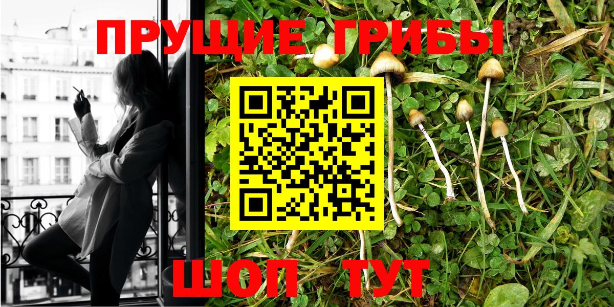 Псилоцибиновые грибы GOLDEN TEACHER Дивногорск