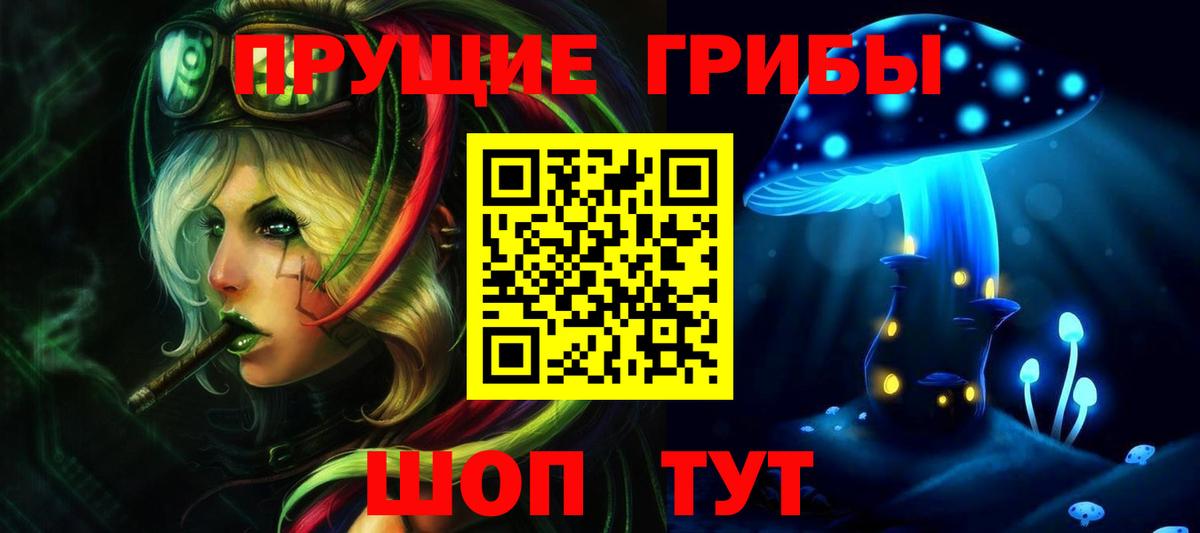 Галлюциногенные грибы прущие грибы  Дивногорск 